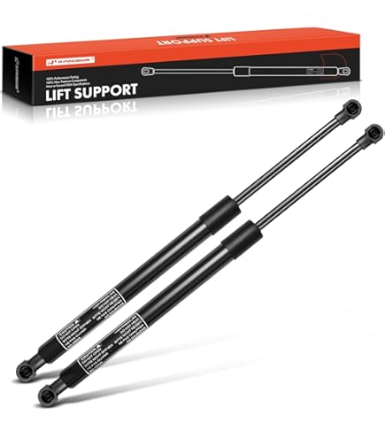 Amazon.com: BOXI 2pcs Rear Trunk Lift Supports Struts Shocks